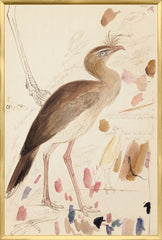 25.25 × 37.25 pulg.