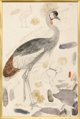 25.25 × 37.25 in