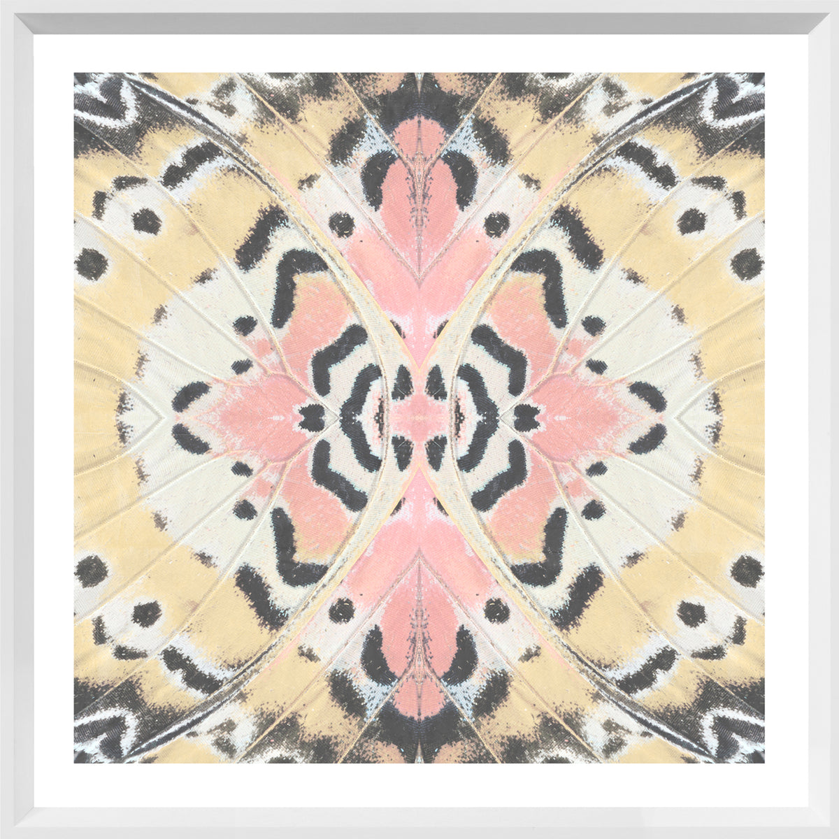 Wing Detail II wall art featuring a butterfly wing pattern in pink, yellow, and black tones.