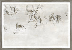 49.25 × 33.25 pulg