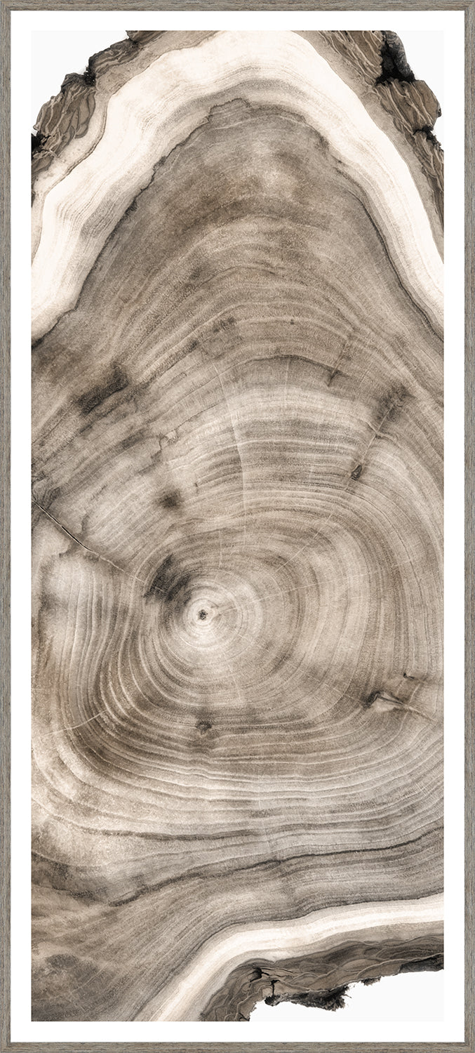 Live Edge — nature and landscape fine art print shown from another angle