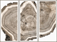 70 × 51 in – Triptych