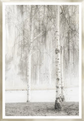 32 × 46 in