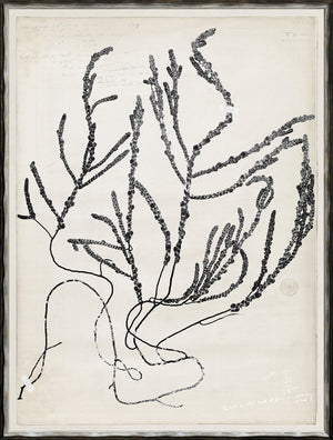 De Mari Series V framed art print, Gild Silver, 19 × 25 in