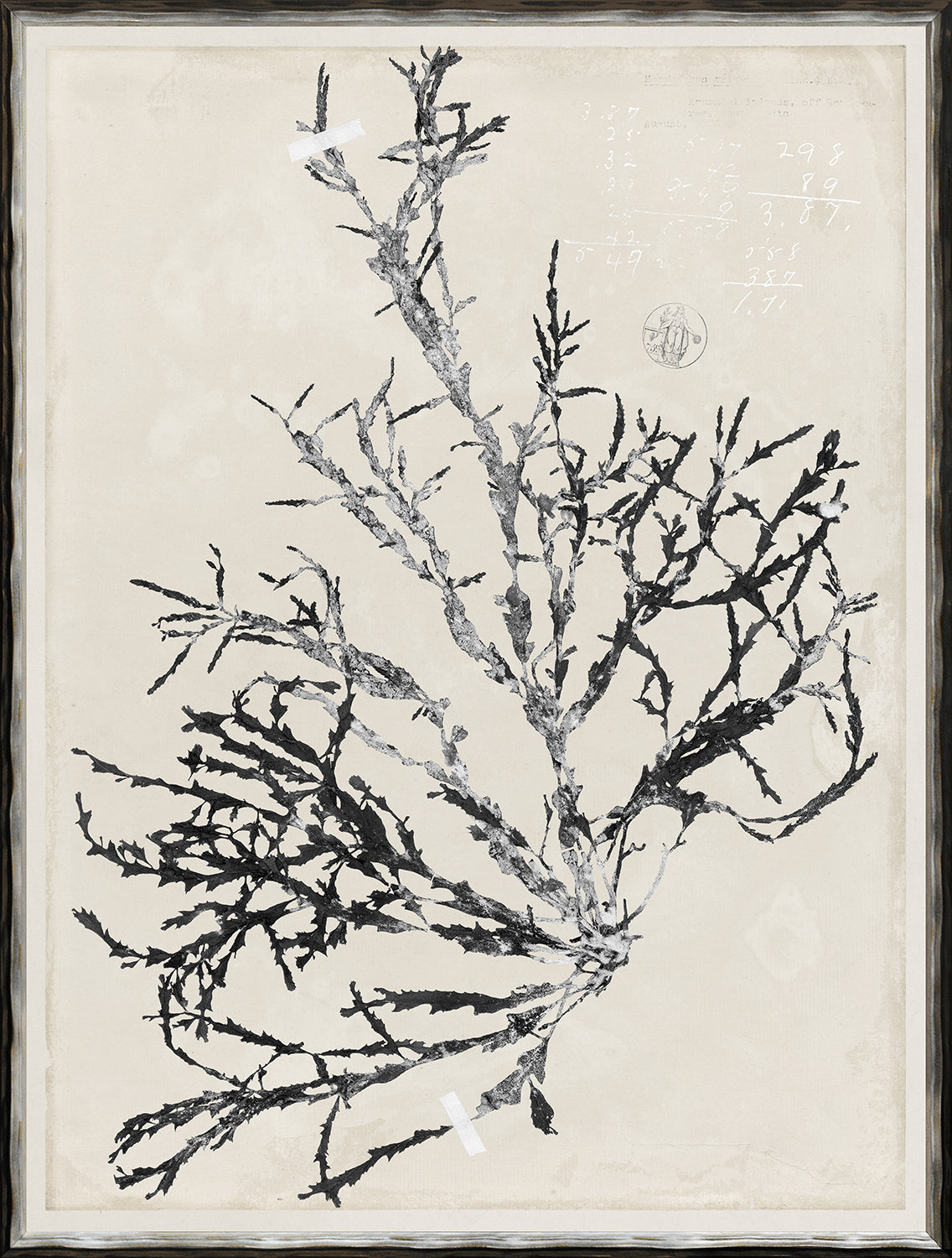De Mari Series IX framed art print, Gild Silver, 19 × 25 in