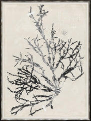 19 × 25 in – Gild Silver
