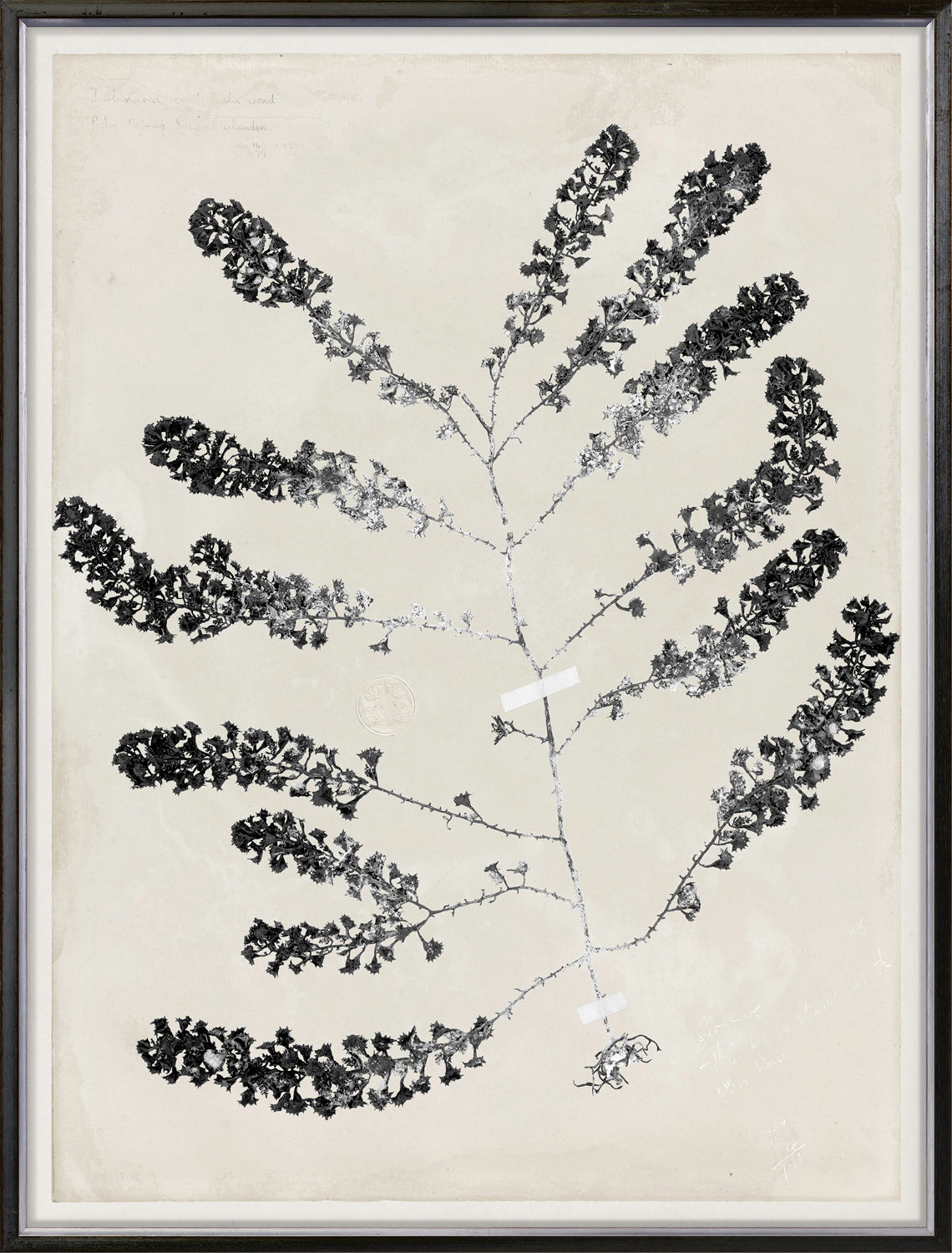 De Mari Series I framed art print, Gild Silver, 31 × 41 in