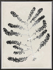 31 × 41 in – Gild Silver