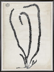 31 × 41 in – Gild Silver