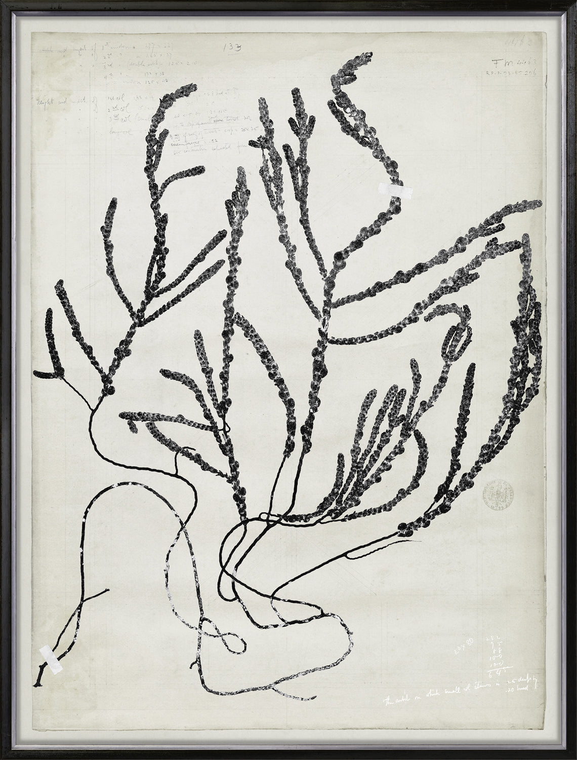 De Mari Series V framed art print, Gild Silver, 31 × 41 in