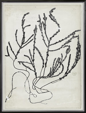 De Mari Series V framed art print, Gild Silver, 31 × 41 in