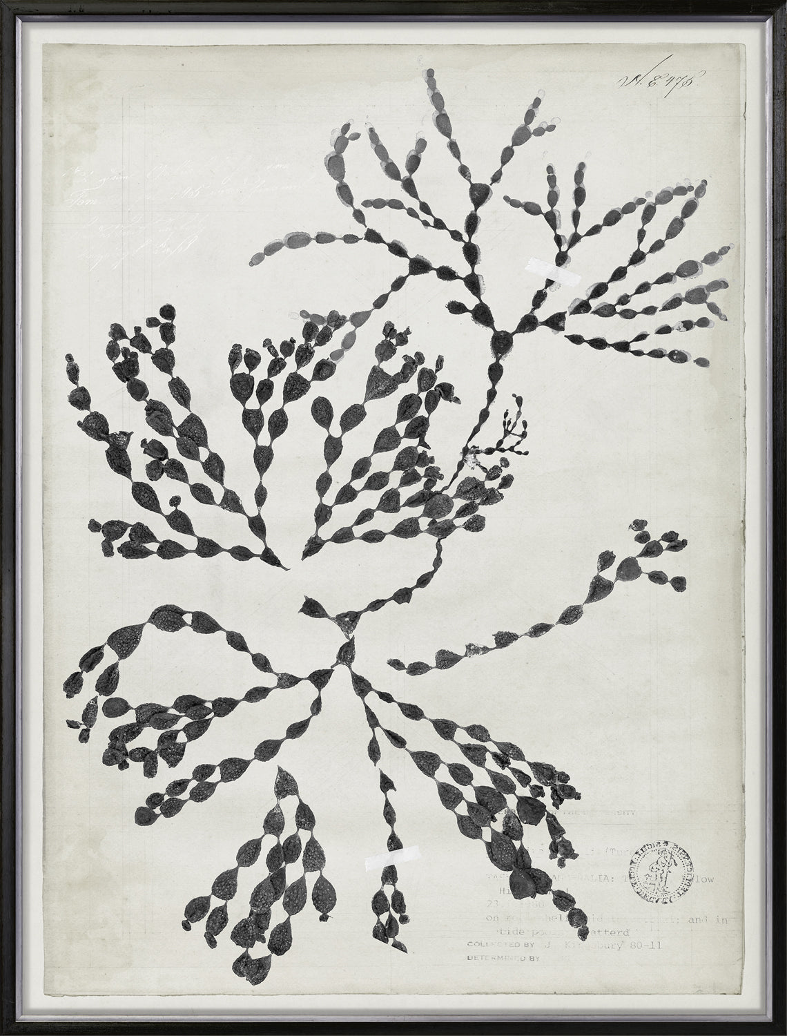 De Mari Series VII framed art print, Gild Silver, 31 × 41 in