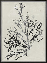 31 × 41 in – Gild Silver
