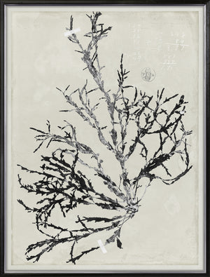 De Mari Series IX framed art print, Gild Silver, 31 × 41 in