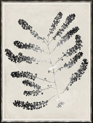 19 × 25 in