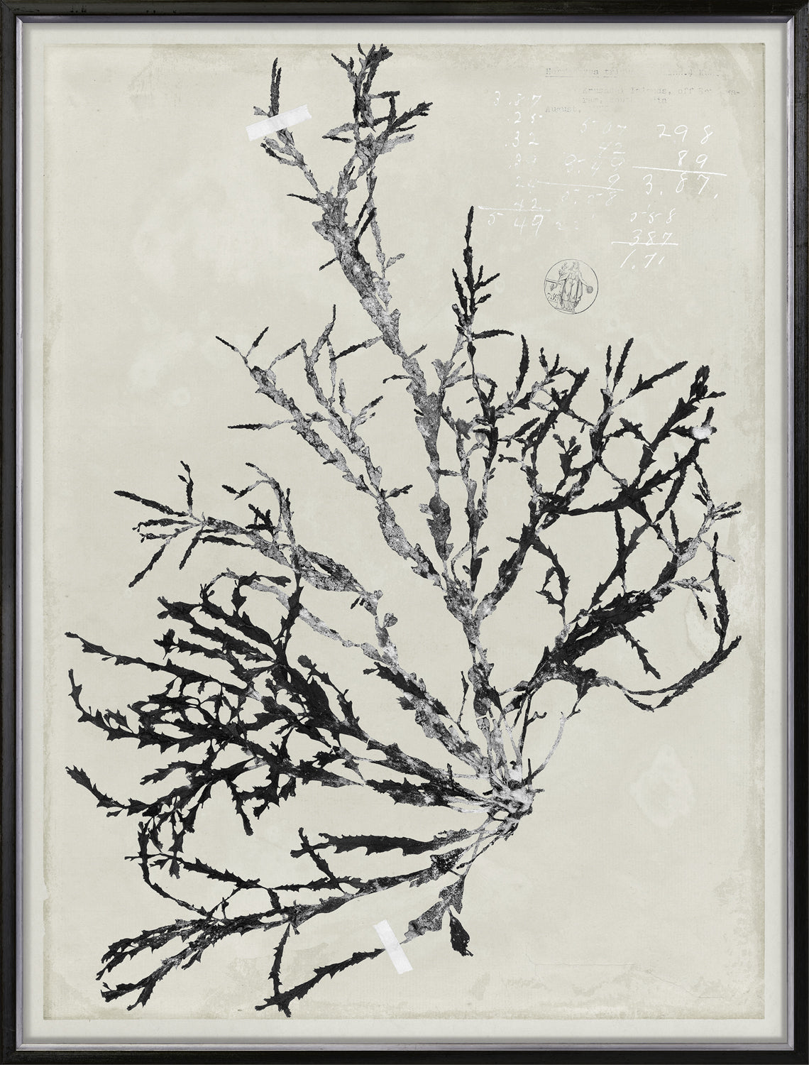 De Mari Series Ix 2 framed art print