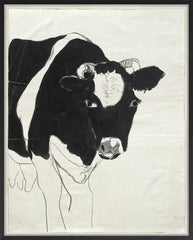 41 × 51 in