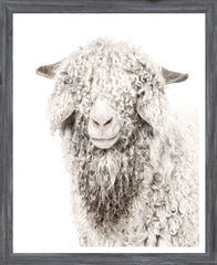 18 × 22 in – Glass Framed, Grey Frame