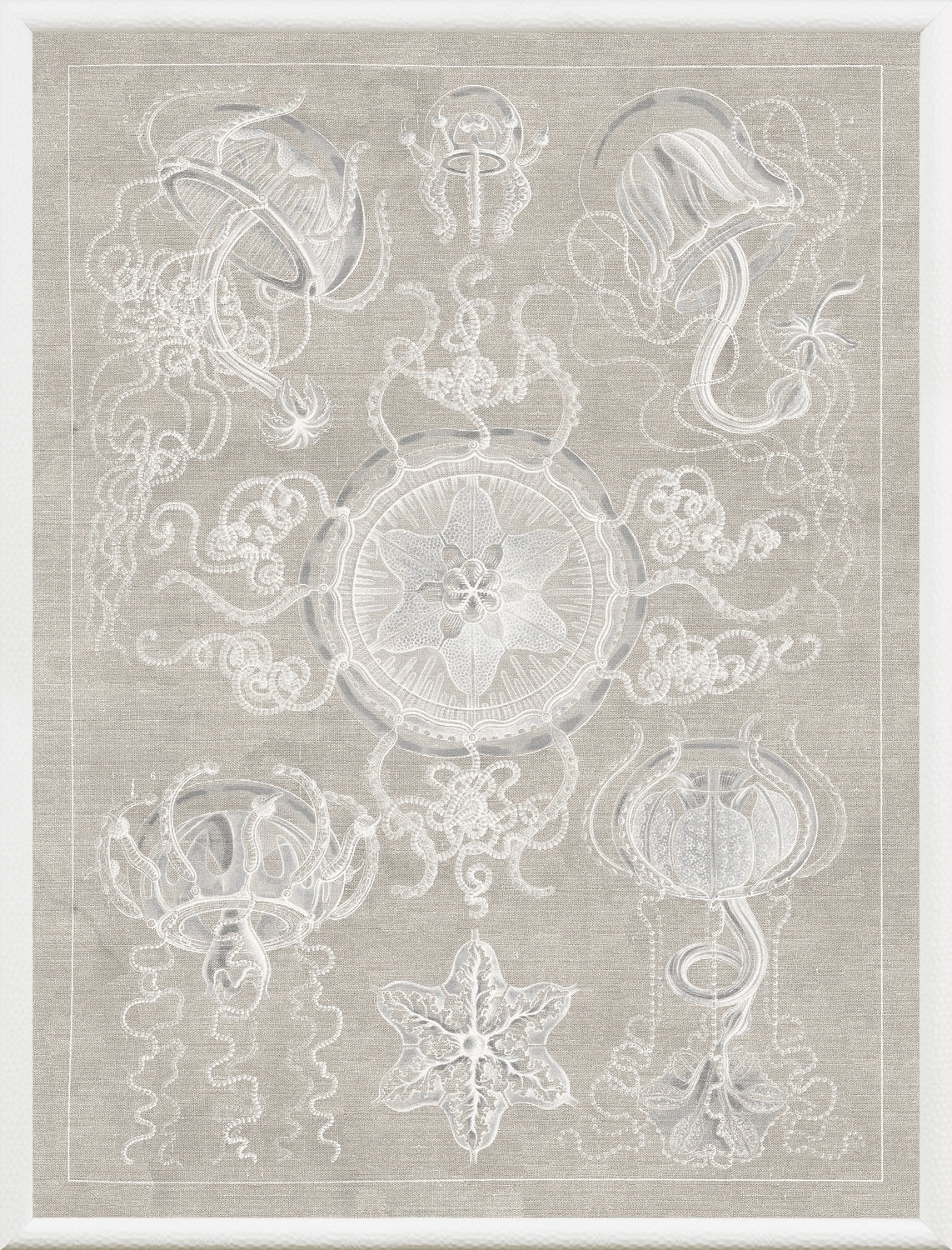 Marine Phyla IV wall art featuring jellyfish and sea creatures on a textured beige background.