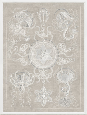Marine Phyla IV wall art featuring jellyfish and sea creatures on a textured beige background.