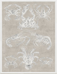 16 × 21 in – Grey