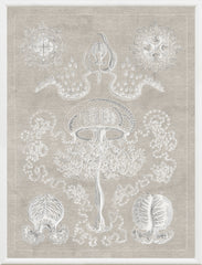 37.5 × 49.5 in – Grey