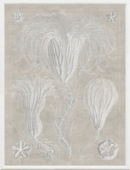 37.5 × 49.5 in – Grey
