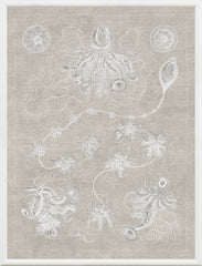 37.5 × 49.5 in – Grey