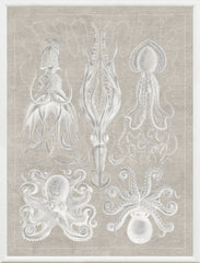 37.5 × 49.5 pulg – Gris