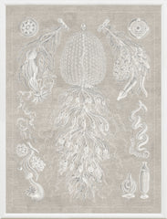 37.5 × 49.5 in – Grey