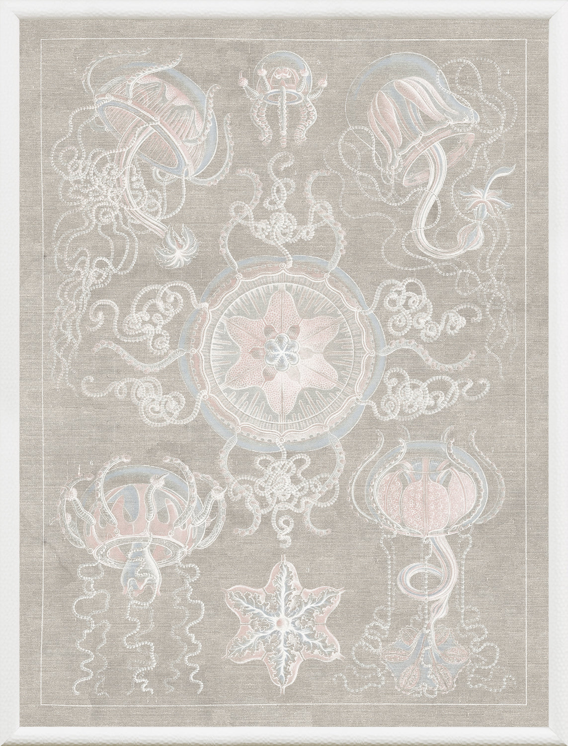 Marine Phyla IV — still life fine art print shown from another angle