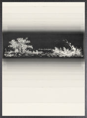 23 × 31 in