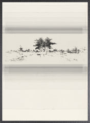 23 × 31 pulg.