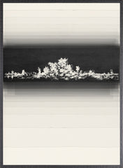 42 × 56 in