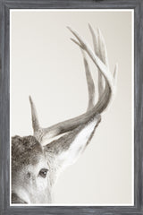 16 × 24 in – Marco gris