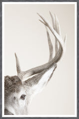 37 × 65 in – Marco gris
