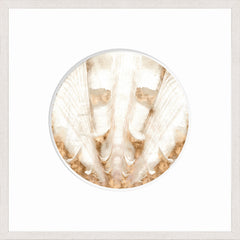 21 × 21 in – Glass Framed