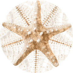 24 × 24 in – Acrílico