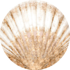 24 × 24 pulg. – Acrílico