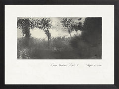 38 × 25.5 in
