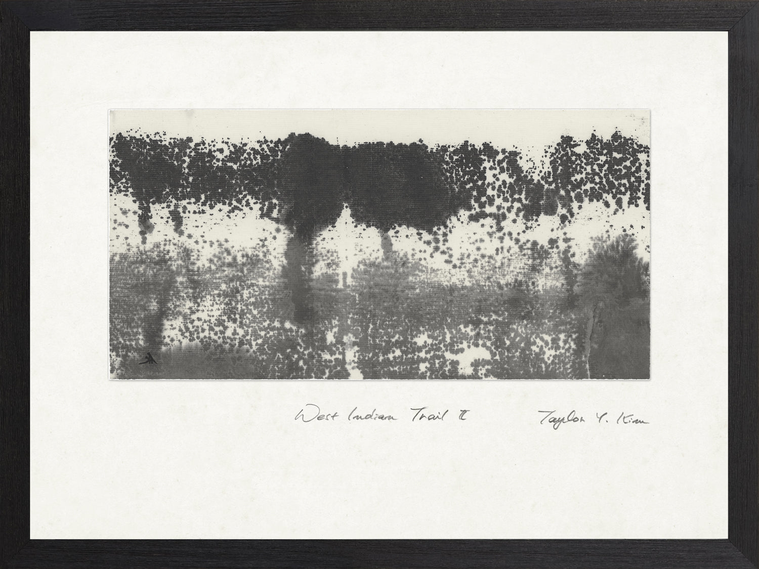 West Indian Trail Ii framed art print