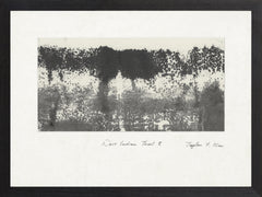 38 × 25.5 in