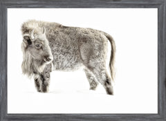 22 × 16 pulg – Marco gris