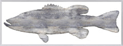57.5 × 21.5 pulg.