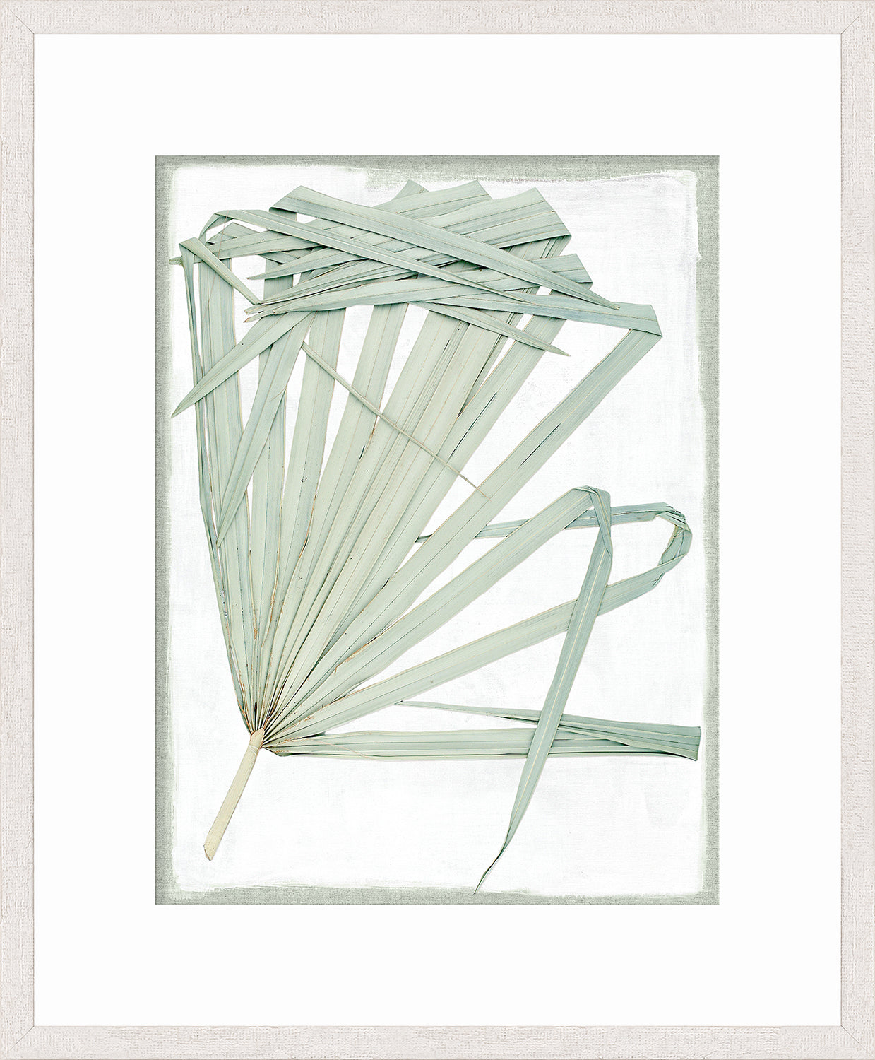 Palm Pressings I – Biscay wall art featuring light green palm leaves on a textured white background.