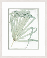 19 × 23 pulg