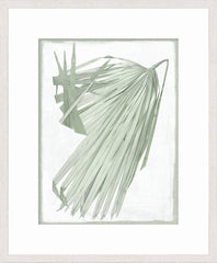 19 × 23 in