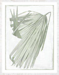 29 × 37 in
