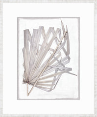 19 × 23 in
