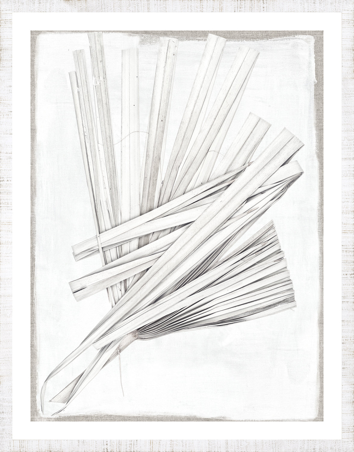 Palm Pressings I Oyster 3 framed art print